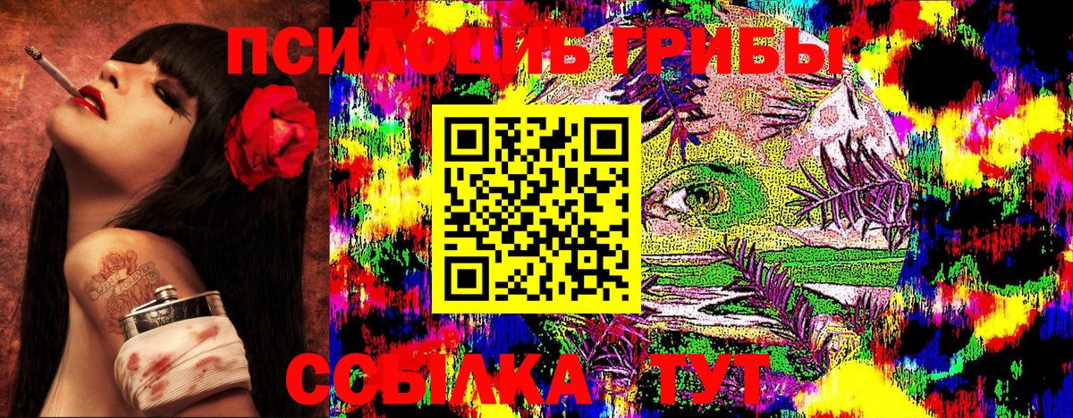 Галлюциногенные грибы GOLDEN TEACHER  Вход с VPN  Волгоград  Галлюциногенные грибы MAGIC MUSHROOMS 